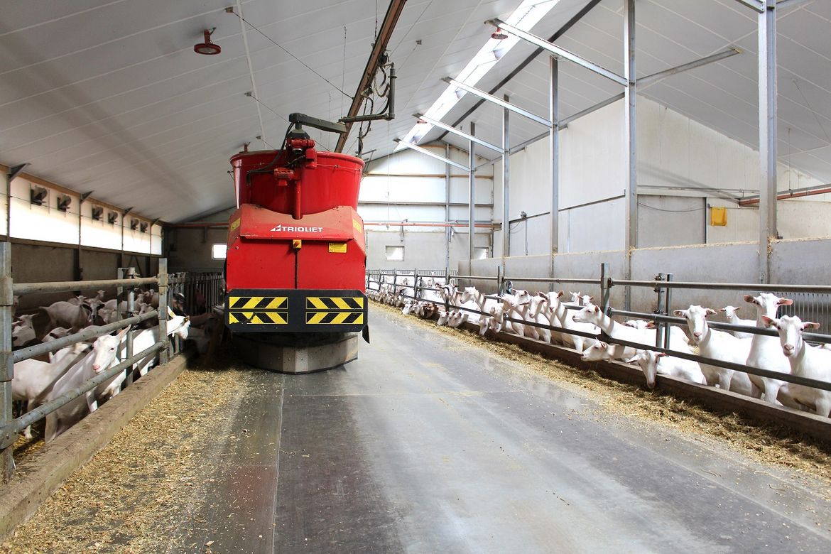 Automatic-feeding-for-dairy-farmers-can-easily-manoeuvre-around-feeding-alleys
