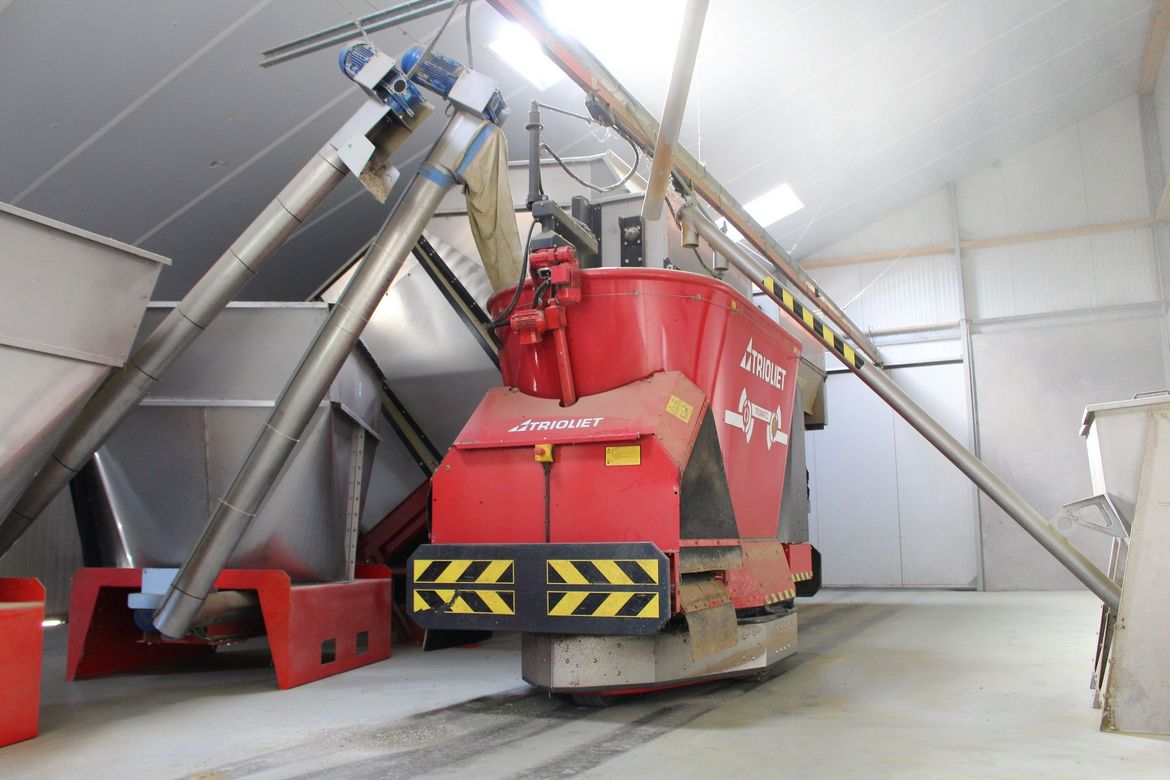 Feed-storage-for-an-automatic-feeding-system-is-common-on-a-farm