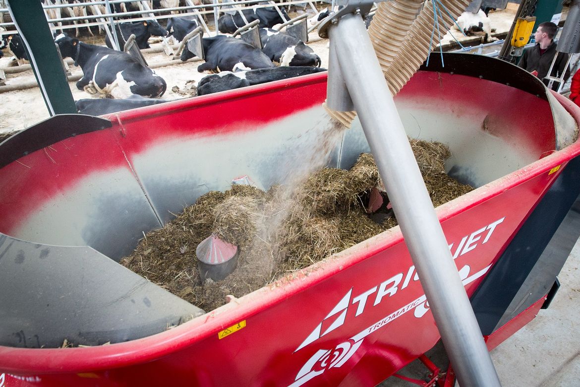 Find-an-automatic-feeding-system-with-vertical-mixing-augers-for-beef-farmers.
